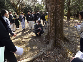 jyumoku_shindan.png
